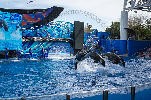 Florida 2012 ~ Week 3-076