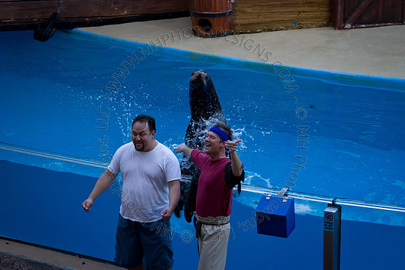 Florida 2012 ~ Week 3-179