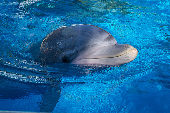 Florida 2012 ~ Week 3-019