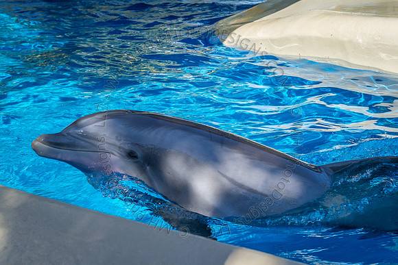 Florida 2012 ~ Week 3-014