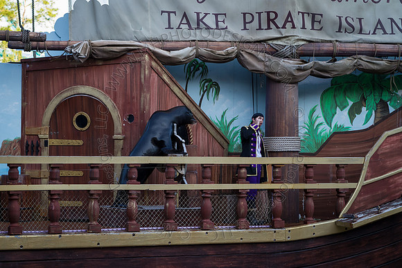 Florida 2012 ~ Week 3-167