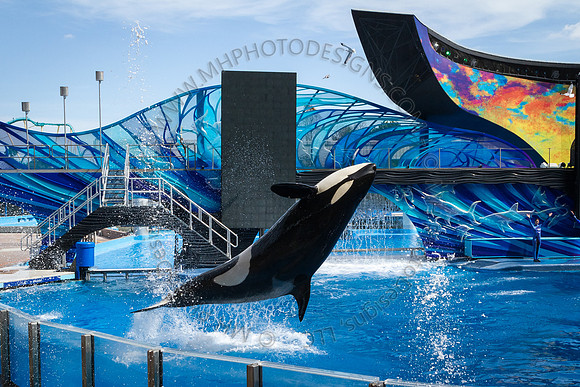 Florida 2012 ~ Week 3-081