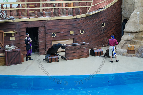 Florida 2012 ~ Week 3-174