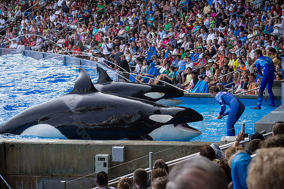Florida 2012 ~ Week 3-058