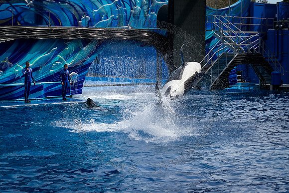 Florida 2012 ~ Week 3-080