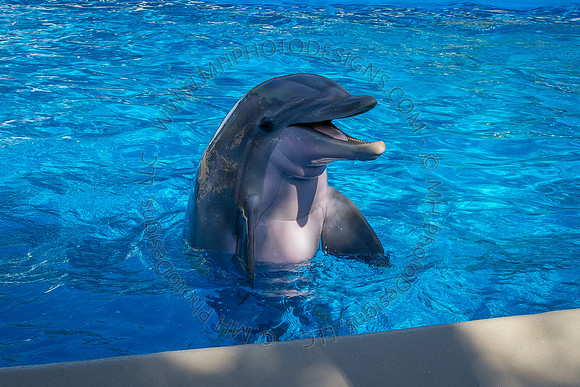 Florida 2012 ~ Week 3-015