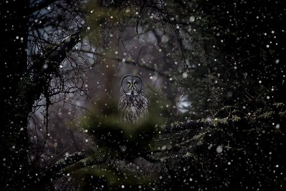 December Projects 2014-019