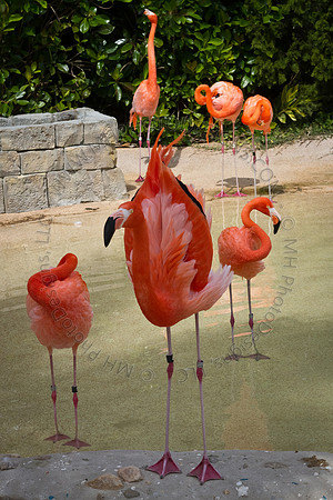 Florida 2012 ~ Week 3-086