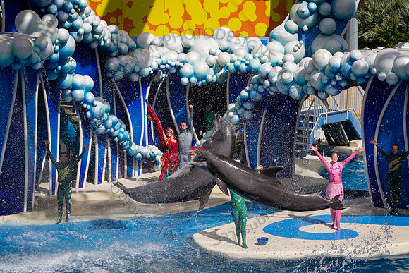 Florida 2012 ~ Week 3-149