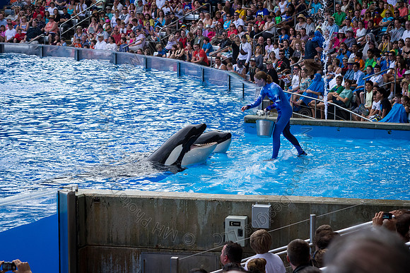 Florida 2012 ~ Week 3-047