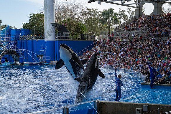 Florida 2012 ~ Week 3-056