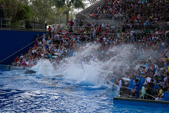 Florida 2012 ~ Week 3-063