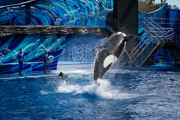Florida 2012 ~ Week 3-079