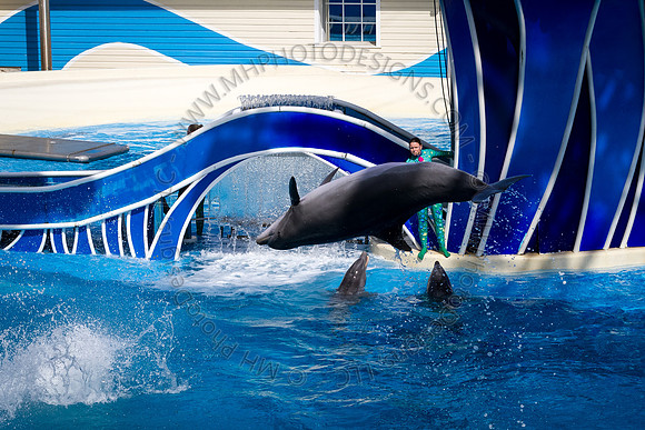 Florida 2012 ~ Week 3-139