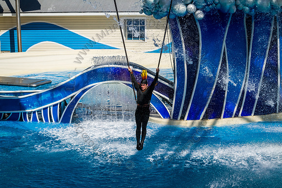 Florida 2012 ~ Week 3-116