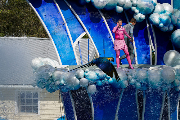 Florida 2012 ~ Week 3-146