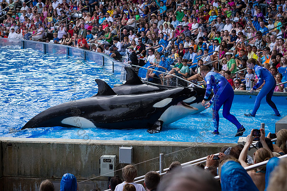 Florida 2012 ~ Week 3-045