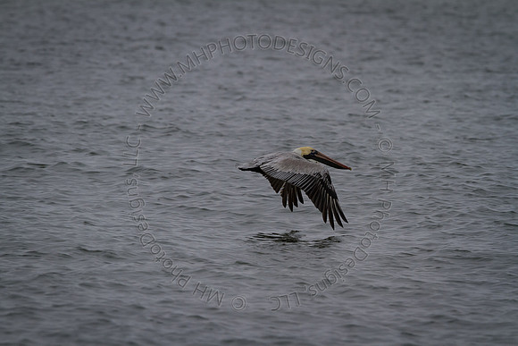 Florida 2012 ~ Week 3-251
