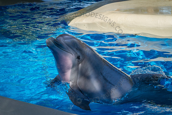 Florida 2012 ~ Week 3-013