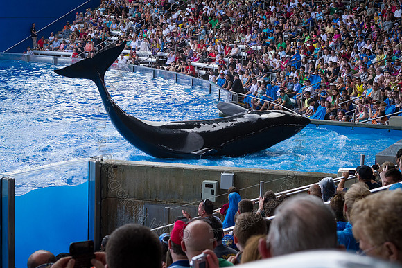 Florida 2012 ~ Week 3-078