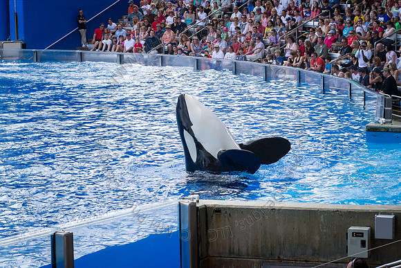 Florida 2012 ~ Week 3-055