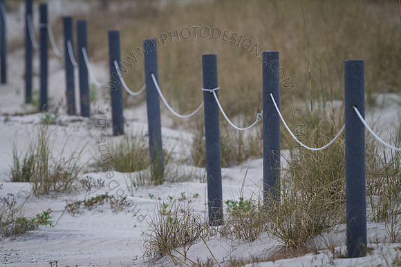 Florida 2012 ~ Week 3-257