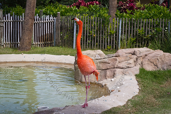 Florida 2012 ~ Week 3-087