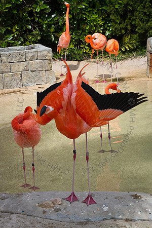 Florida 2012 ~ Week 3-085