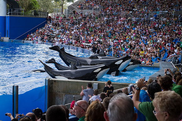 Florida 2012 ~ Week 3-069