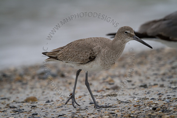Florida 2012 ~ Week 3-255