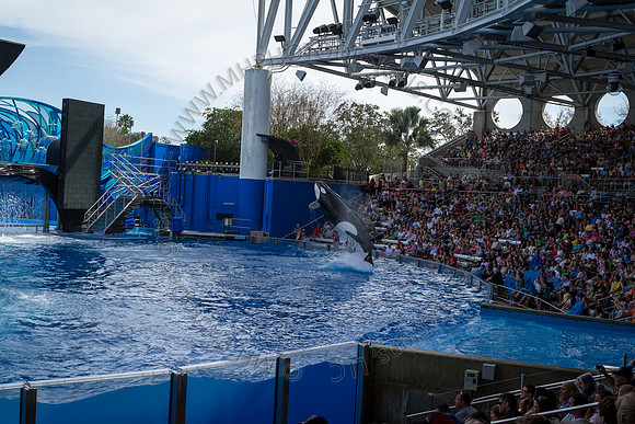 Florida 2012 ~ Week 3-070
