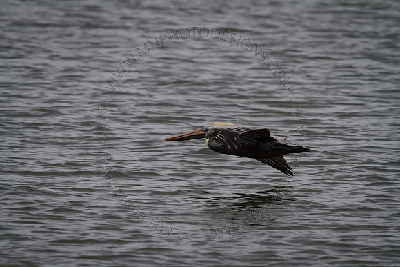 Florida 2012 ~ Week 3-269