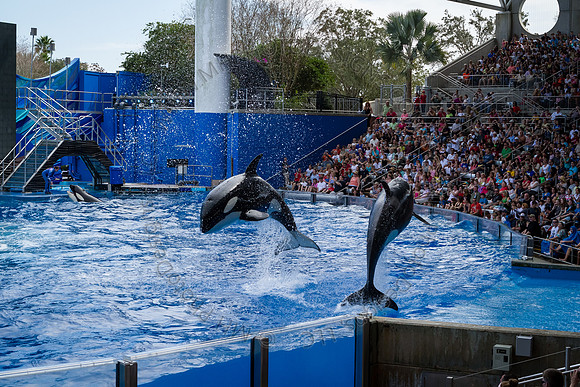 Florida 2012 ~ Week 3-039
