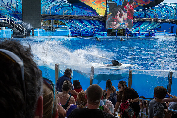 Florida 2012 ~ Week 3-064