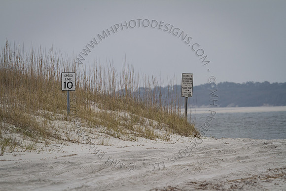 Florida 2012 ~ Week 3-219