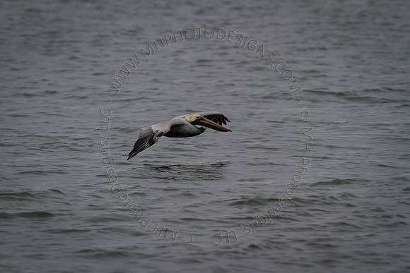 Florida 2012 ~ Week 3-248