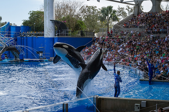 Florida 2012 ~ Week 3-057