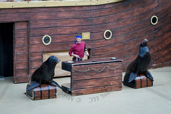 Florida 2012 ~ Week 3-175