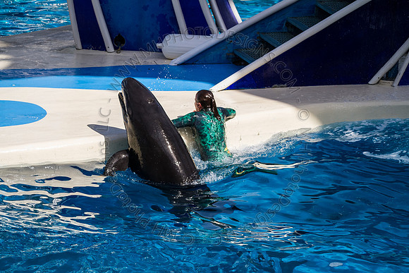 Florida 2012 ~ Week 3-118