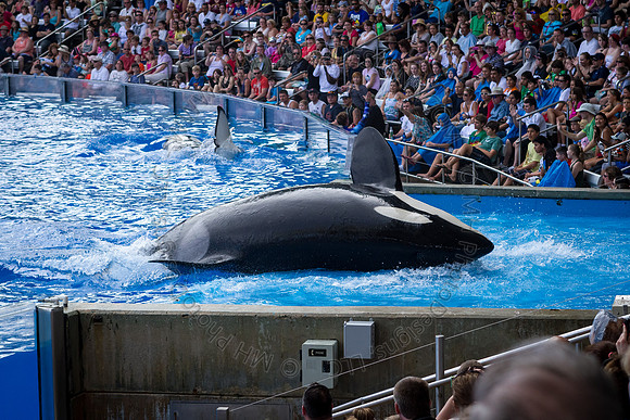 Florida 2012 ~ Week 3-054