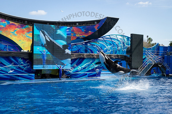 Florida 2012 ~ Week 3-041