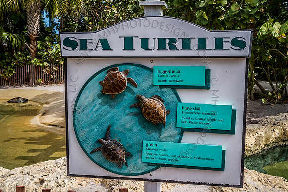 Florida 2012 ~ Week 3-090