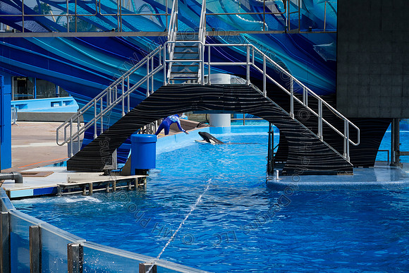 Florida 2012 ~ Week 3-042