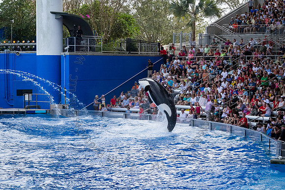 Florida 2012 ~ Week 3-072