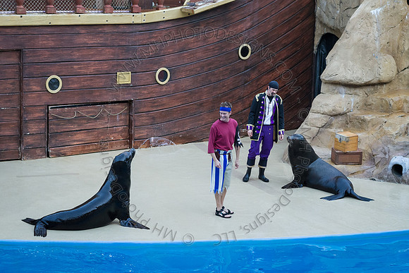 Florida 2012 ~ Week 3-172