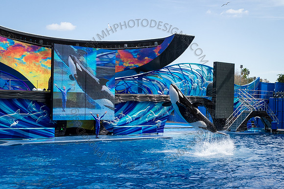 Florida 2012 ~ Week 3-040