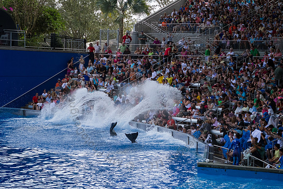 Florida 2012 ~ Week 3-062