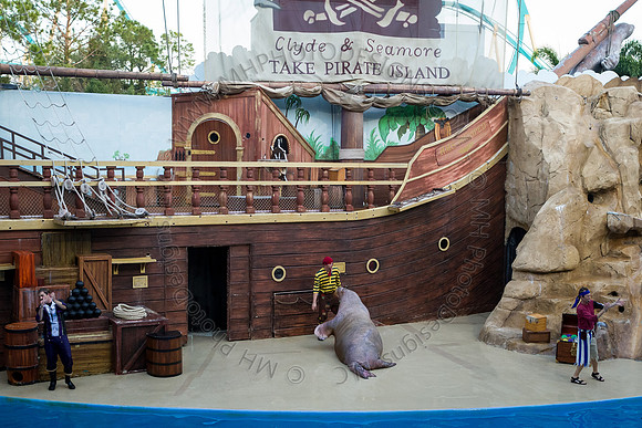 Florida 2012 ~ Week 3-184