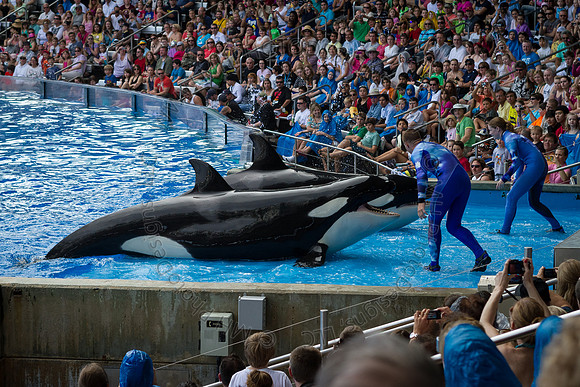 Florida 2012 ~ Week 3-046