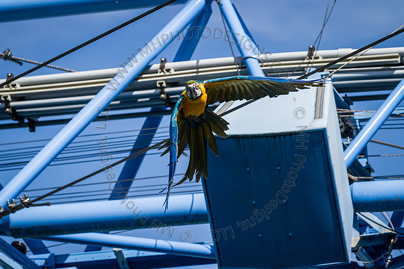Florida 2012 ~ Week 3-113